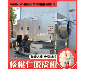 專L款核桃仁去皮機 物理核桃仁脫皮機 核桃仁加工流水線